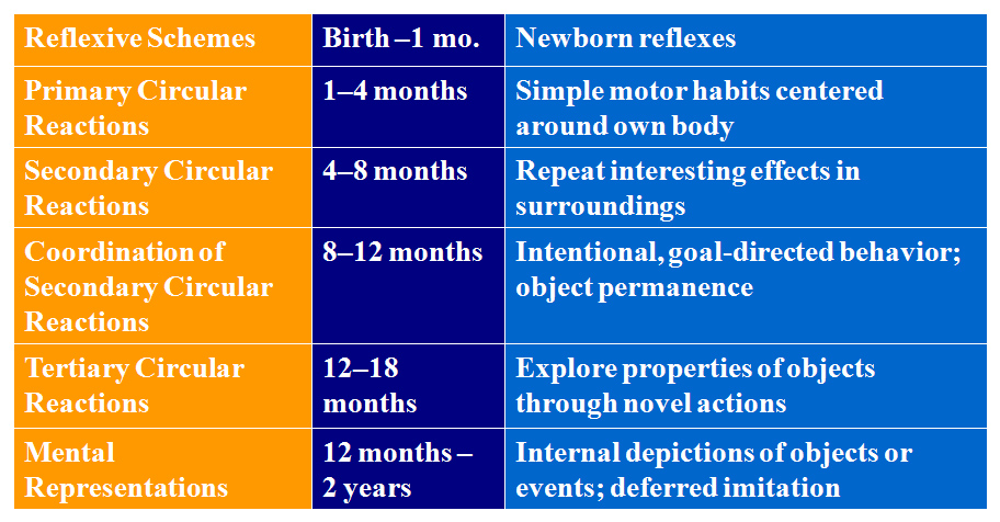 sensorimotor stages.jpg